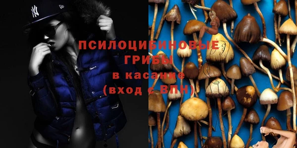 дурь Новодвинск