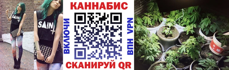 Марихуана OG Kush  Купить закладки  Ревда 